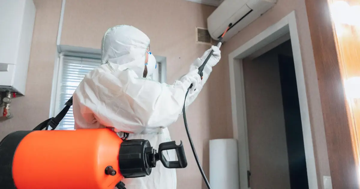 Learn the benefits when you hire disinfection services for your business