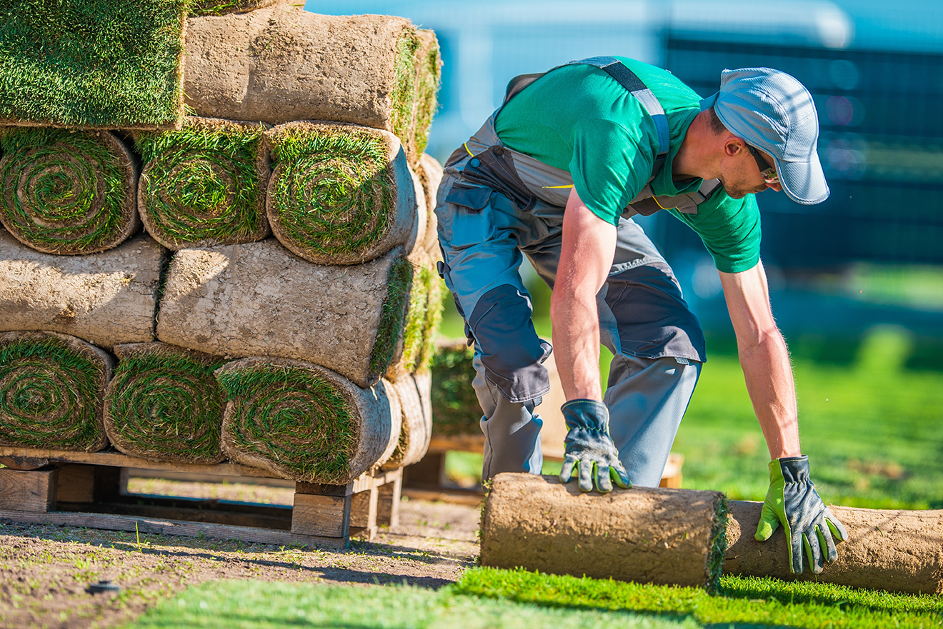 Residential Landscaping Services Designed To Fit Every Lifestyle And Outdoor Vision